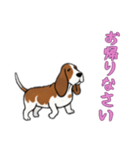 バセットハウンドと一緒の日常（個別スタンプ：8）