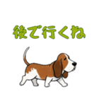 バセットハウンドと一緒の日常（個別スタンプ：10）