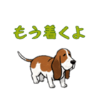 バセットハウンドと一緒の日常（個別スタンプ：12）