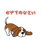 バセットハウンドと一緒の日常（個別スタンプ：13）