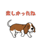 バセットハウンドと一緒の日常（個別スタンプ：15）