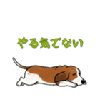 バセットハウンドと一緒の日常（個別スタンプ：16）