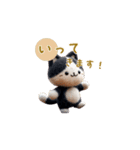 羊毛フェルトぬいぐるみハチワレ猫～秋日常（個別スタンプ：6）