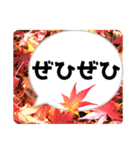 *花* 紅葉＆吹き出し 02（個別スタンプ：1）