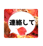 *花* 紅葉＆吹き出し 02（個別スタンプ：2）