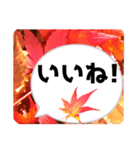 *花* 紅葉＆吹き出し 02（個別スタンプ：4）