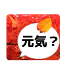 *花* 紅葉＆吹き出し 02（個別スタンプ：6）
