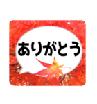 *花* 紅葉＆吹き出し 02（個別スタンプ：7）
