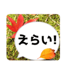 *花* 紅葉＆吹き出し 02（個別スタンプ：12）