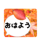 *花* 紅葉＆吹き出し 02（個別スタンプ：13）