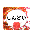 *花* 紅葉＆吹き出し 02（個別スタンプ：17）