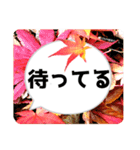 *花* 紅葉＆吹き出し 02（個別スタンプ：23）