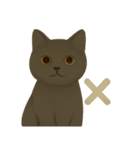 秋の色をした猫ちゃんスタンプ（個別スタンプ：12）