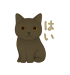 秋の色をした猫ちゃんスタンプ（個別スタンプ：13）