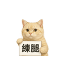 クリーム色アメショの筋トレ猫（個別スタンプ：3）