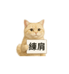 クリーム色アメショの筋トレ猫（個別スタンプ：4）
