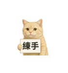 クリーム色アメショの筋トレ猫（個別スタンプ：5）