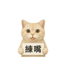 クリーム色アメショの筋トレ猫（個別スタンプ：6）