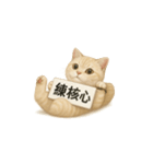 クリーム色アメショの筋トレ猫（個別スタンプ：7）