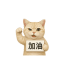 クリーム色アメショの筋トレ猫（個別スタンプ：8）