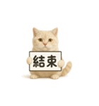 クリーム色アメショの筋トレ猫（個別スタンプ：10）