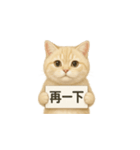 クリーム色アメショの筋トレ猫（個別スタンプ：11）