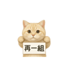クリーム色アメショの筋トレ猫（個別スタンプ：12）