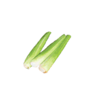 バーベキュー無言バージョン（個別スタンプ：23）