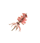 バーベキュー無言バージョン（個別スタンプ：26）