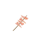 バーベキュー無言バージョン（個別スタンプ：34）