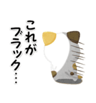 毎日五月病なねこたち 3D風！ネガティブ（個別スタンプ：33）