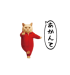 お猫様の動くスタンプ6（個別スタンプ：1）