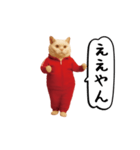 お猫様の動くスタンプ6（個別スタンプ：2）
