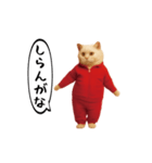 お猫様の動くスタンプ6（個別スタンプ：3）