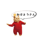 お猫様の動くスタンプ6（個別スタンプ：5）