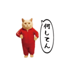 お猫様の動くスタンプ6（個別スタンプ：6）
