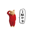 お猫様の動くスタンプ6（個別スタンプ：11）