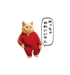 お猫様の動くスタンプ6（個別スタンプ：13）