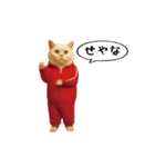 お猫様の動くスタンプ6（個別スタンプ：14）