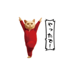 お猫様の動くスタンプ6（個別スタンプ：15）