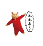 お猫様の動くスタンプ6（個別スタンプ：16）