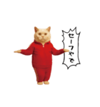 お猫様の動くスタンプ6（個別スタンプ：17）