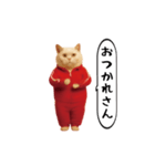 お猫様の動くスタンプ6（個別スタンプ：18）