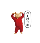 お猫様の動くスタンプ6（個別スタンプ：19）