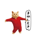 お猫様の動くスタンプ6（個別スタンプ：20）