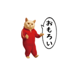 お猫様の動くスタンプ6（個別スタンプ：21）
