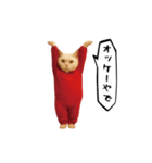 お猫様の動くスタンプ6（個別スタンプ：22）