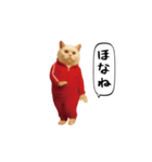 お猫様の動くスタンプ6（個別スタンプ：24）