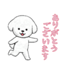 [ありがとうございます]ビションフリーゼ（個別スタンプ：2）