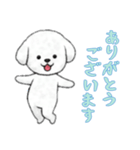 [ありがとうございます]ビションフリーゼ（個別スタンプ：7）